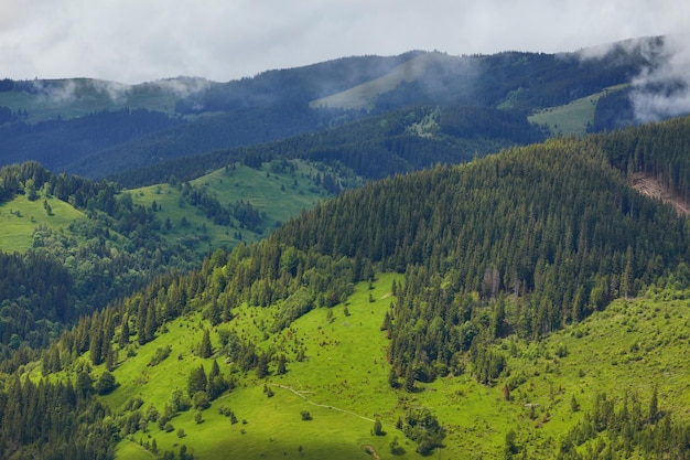 Foto beboste glooiende heuvel op een bewolkte dag prachtig natuurlandschap van bergachtig landschap