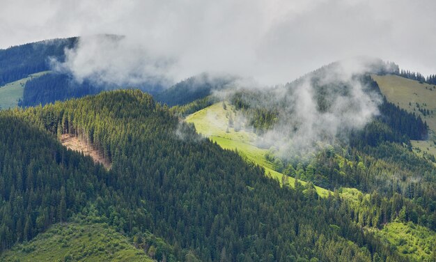 Beboste glooiende heuvel op een bewolkte dag prachtig natuurlandschap van bergachtig landschap