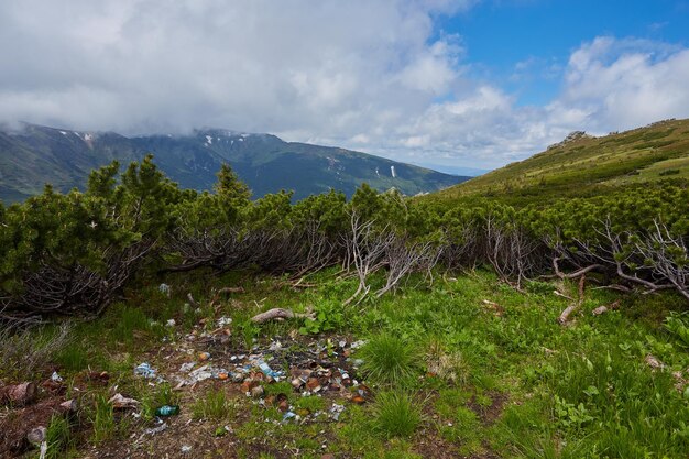 Beboste glooiende heuvel op een bewolkte dag prachtig natuurlandschap van bergachtig landschap