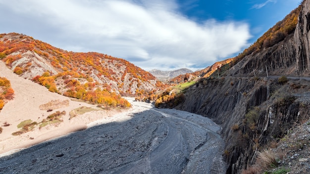 山川の河床