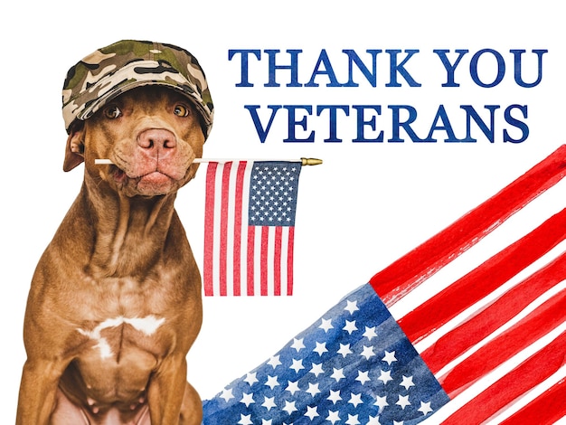 Bedankt veterans brown puppy en american flag