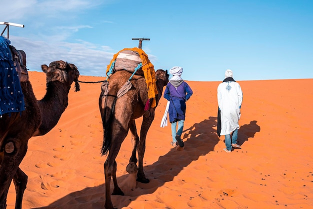 Foto bedoeïenen in traditionele kleding leiden kamelen door het zand in de woestijn