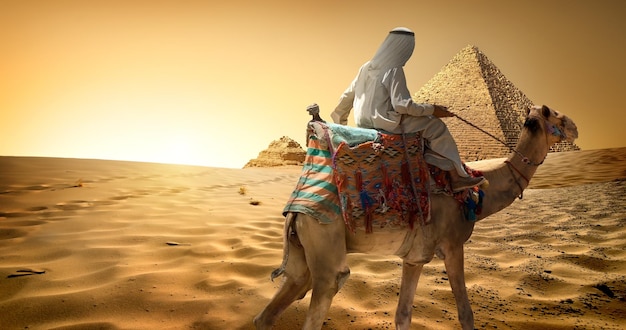Foto bedoeïenen op kameel in zandwoestijn bij piramides