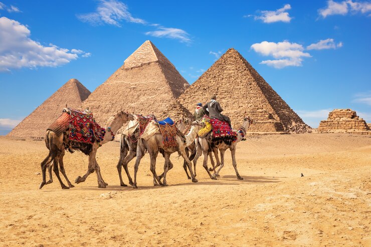 Bedoeïenen op kamelen voor de beroemde piramides van Gizeh in Egypte.