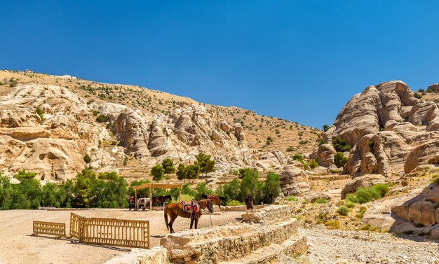 Bedoeïenenrust in de oude stad Petra, Jordanië