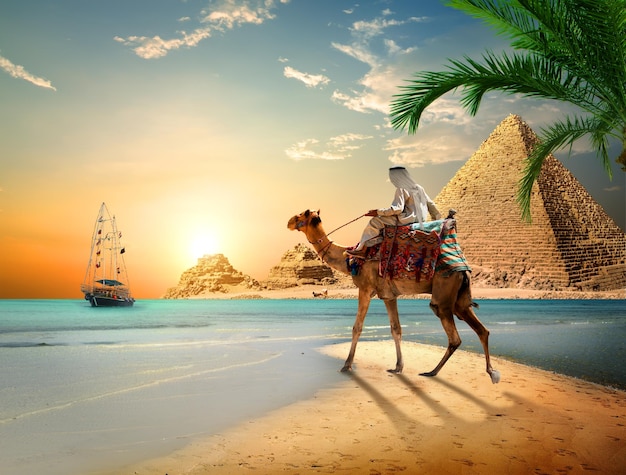 Photo bedouin on camel near pyramids and sea