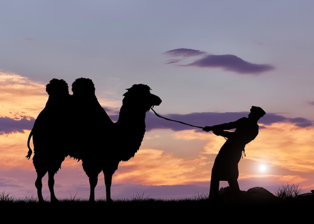 Bedouin and camel silhouette at sunset. The concept of tourism and Journey