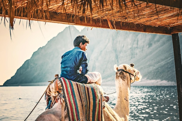 Bedouin man op de kameel in Dahab, Egypte