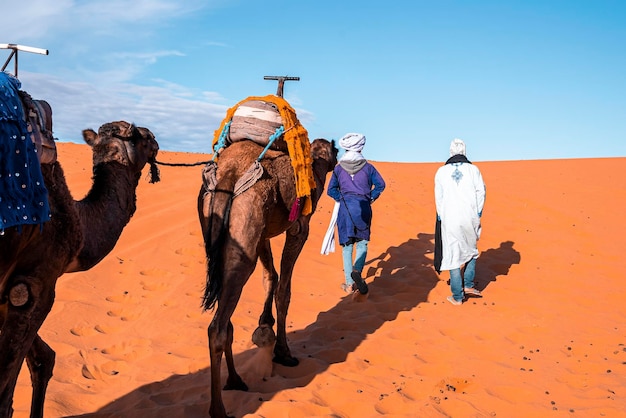 Bedouins in traditional dress leading camels through the sand in desert