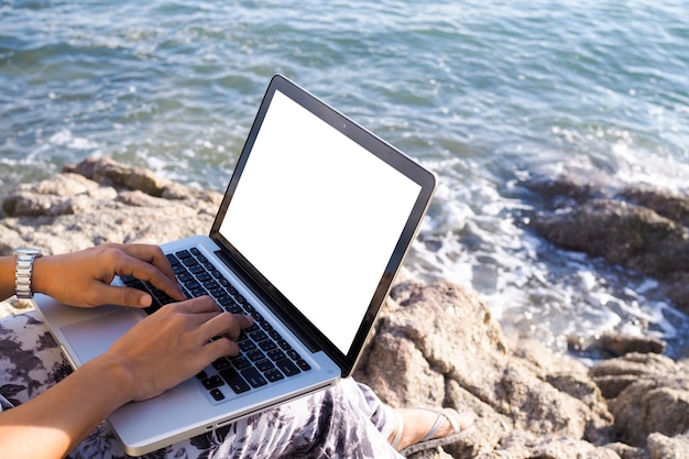 Bedrijfsvrouwen die met laptop computer werken en op het strand ontspannen