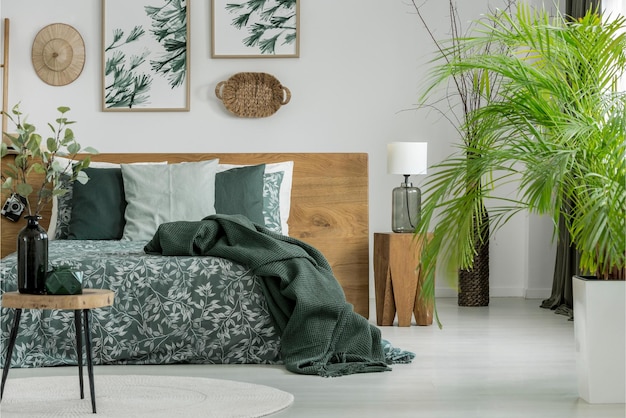 A bedroom with a green bed and a wooden side table with a plant on it.