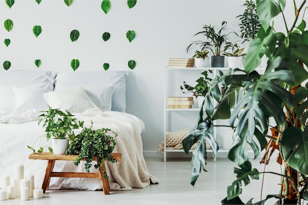 A bedroom with a plant on the wall and a shelf with green leaves on it.