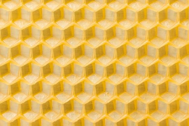 Bee cells for gold honeyx9