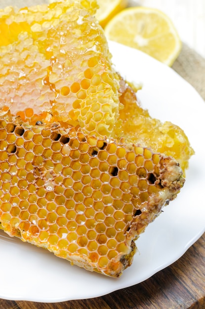 Bee honeycombs with honey.