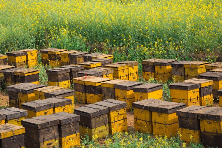Bee nests in a flower garden