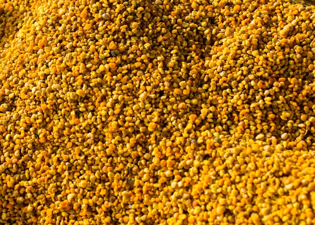 Bee pollen as healthy organic raw diet food ingredient