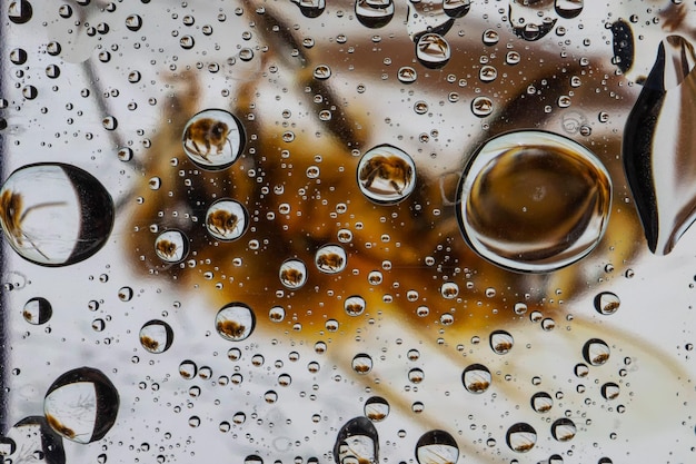 A bee seen through a glass full of water drops