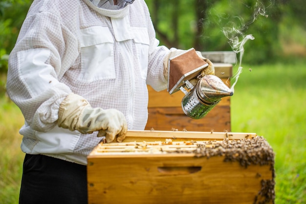 Курильщик пчел с пчеловодом, работающим на своей пасеке над концепцией пчеловодства пчелиной фермы