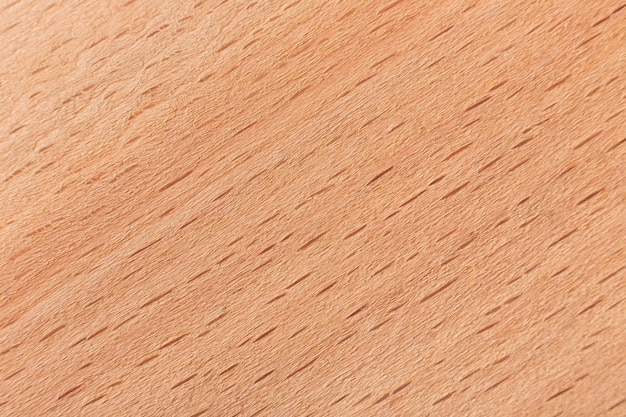 Текстура древесины бука для использования в качестве фона или обоев