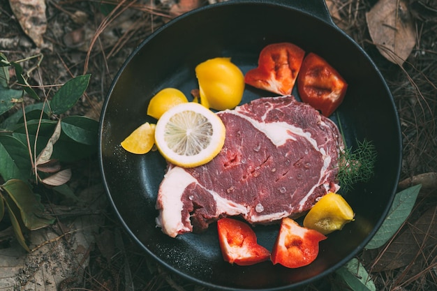 Beef steak in the forest