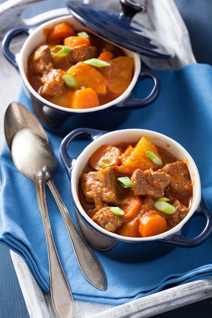 Photo beef stew with potato and carrot in blue pots