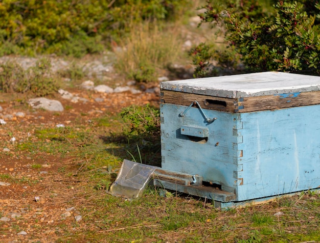 A beehive stands in a forest in a Greek village