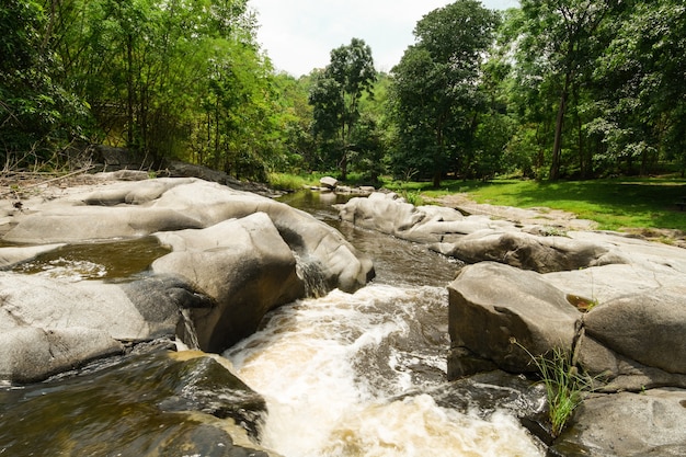 Beek van waterstroom uit rijke bossen.