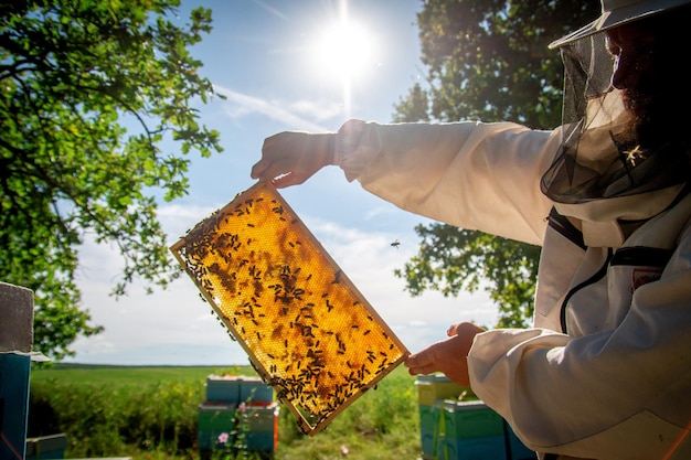 Foto un apicoltore in un apiario con in mano una cornice con miele e api