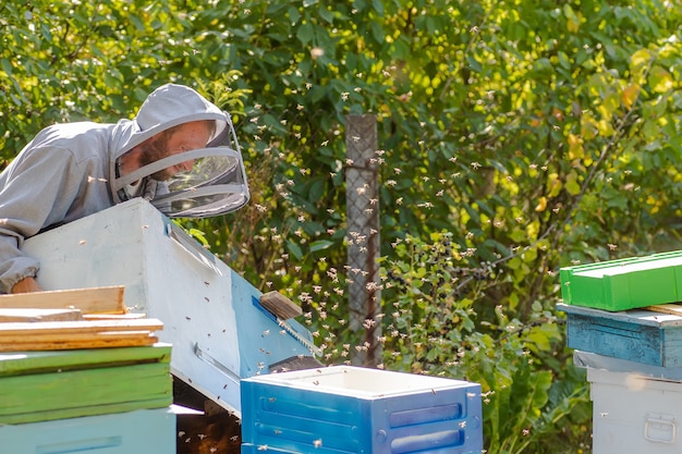 Beekeeper carries unit of beehive from styrofoam. Expansion of bee colonies.