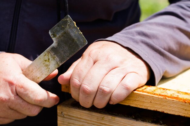 A beekeeper checking her hive.