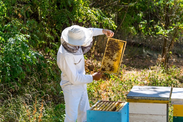 사진 벌집 작업을 하는 흰색 보호복을 입은 양봉가 꿀벌에서 꿀을 수집하는 남자