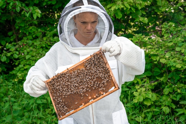 Beekeeper inspects bees in a protective suit