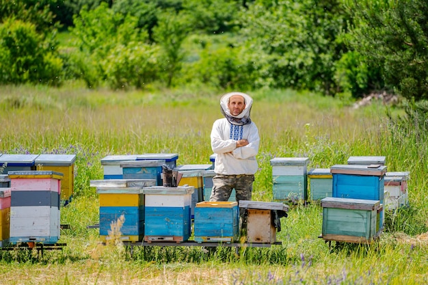 Beekeeper is standing in field among his hives