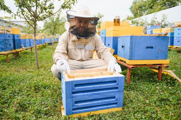 Фото Пчеловод работает с пчелами и ульями на пасеке концепция пчеловодства