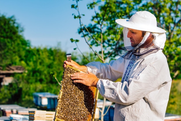 Пчеловод работает с пчелами и ульями на пасеке Пчеловод на пасеке