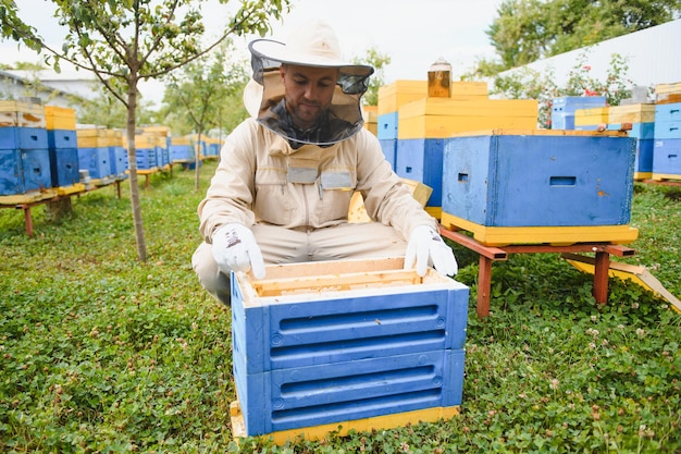 Foto l'apicoltore sta lavorando con api e alveari sul concetto di apicoltura