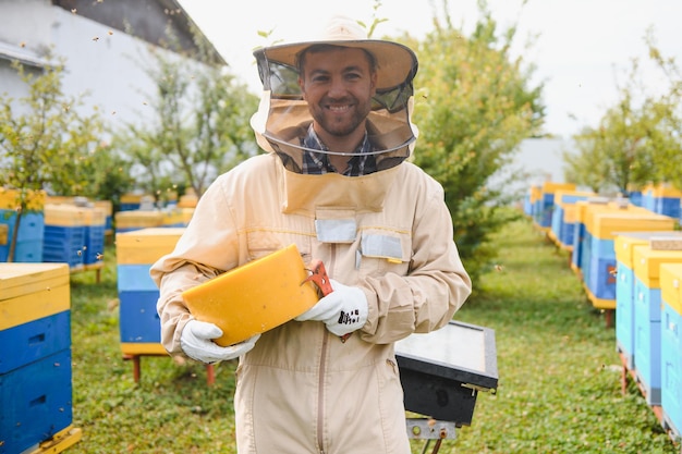 양봉가는 양봉장에서 벌과 벌집을 작업하고 있습니다. 벌집에 있는 꿀벌 벌집의 프레임 양봉 꿀 건강 식품 천연 제품