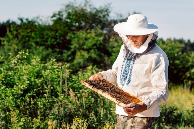 Beekeeper is working with bees and beehives on the apiary Bees on honeycomb Frames of a bee hive Beekeeping Honey