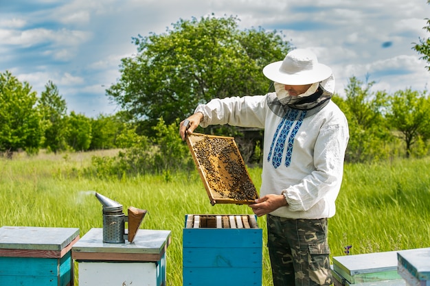 Beekeeper is working with bees and beehives on the apiary. Frames of a bee hive