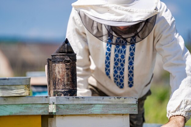 Beekeeper is working with bees and beehives on the apiary