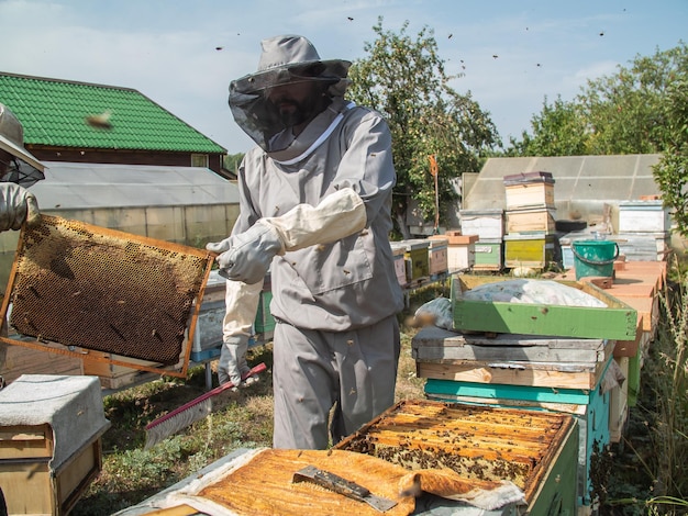 Пчеловод-мужчина работает над сбором меда Концепция пчеловодства