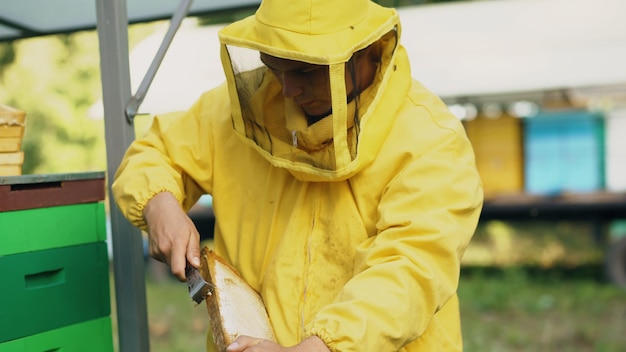 Beekeeper man clean wooden honey frame working in the apiary on summer day