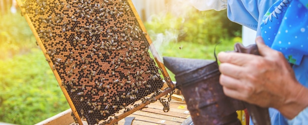 養蜂家が巣箱を開け、ミツバチがチェックし、蜂蜜をチェックします。蜂の巣を探る養蜂家。