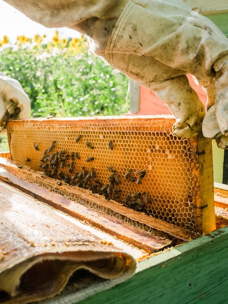 DO I NEED TO WEAR A BEE SUIT? - Beekeeping Like A Girl