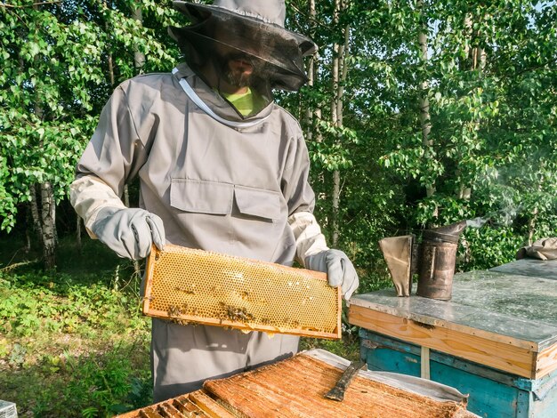 養蜂家が蜂の巣から蜂の巣を取り除く 養蜂家のスーツを着て巣箱から蜂蜜を取り出す人 養蜂場で蜂の巣を扱う蜂のスーツを着た農家 田舎の有機農業で養蜂