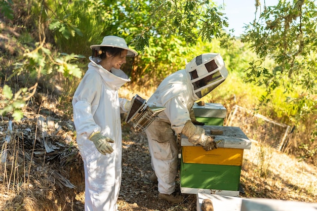 Beekeeper setting up hive with the help of an assistant