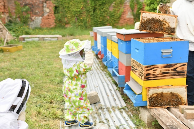 L'apicoltore mostra l'alveare ai bambini