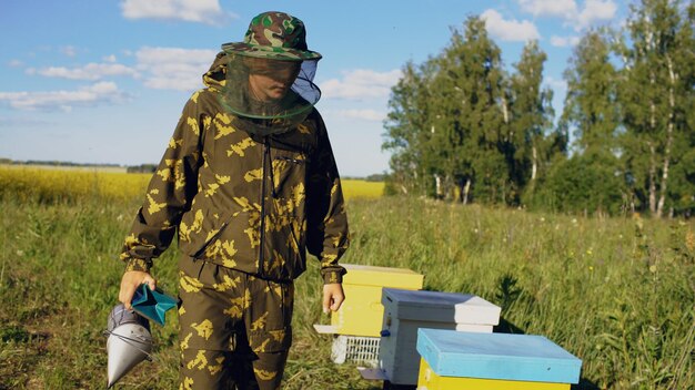 Пчеловод ходит и осматривает свой ряд ульев возле цветущего поля