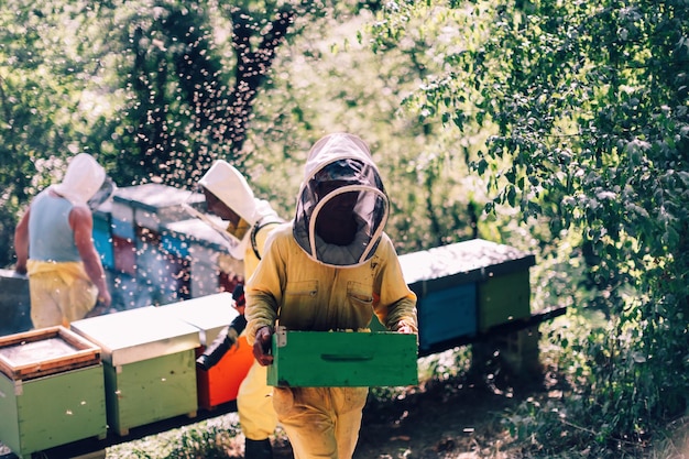 Пчеловод ходит с коробкой для улья в защитном костюме