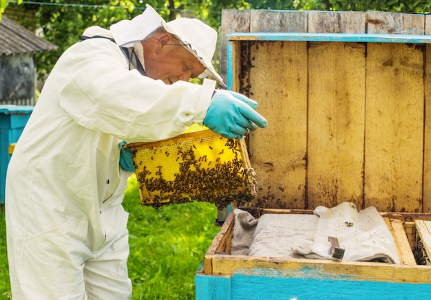 Beekeeper with bees outdoor